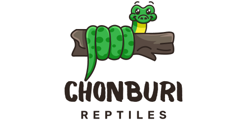 Chonburireptiles